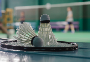 Badminton Court Wooden