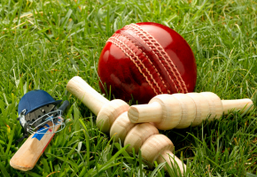 Cricket Turf