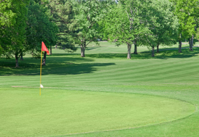 Golf Course Construction